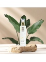 Innovatis - Stem Cells Micellar shampoo